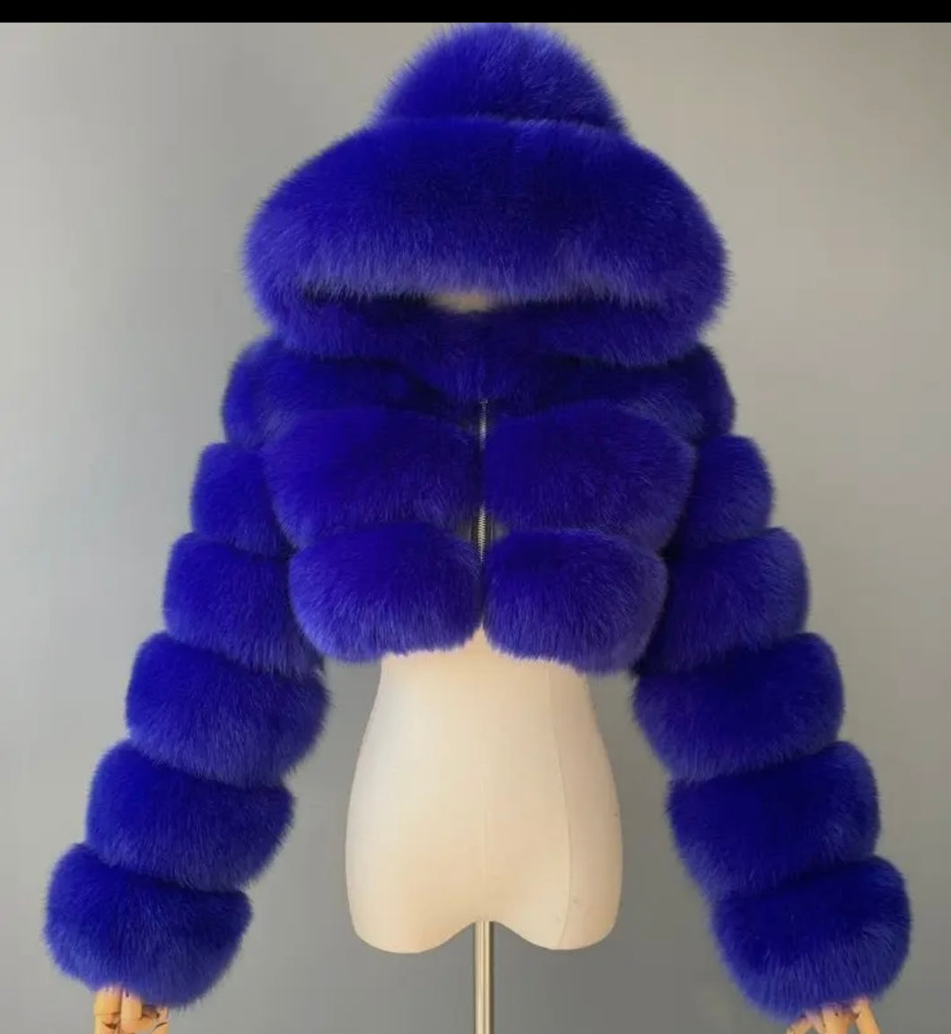 Blue Hood Fur
